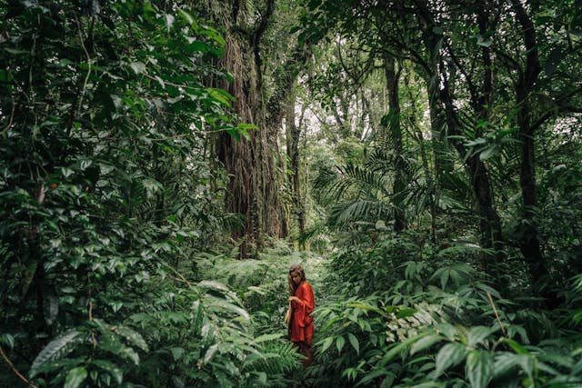 The power of ayurveda